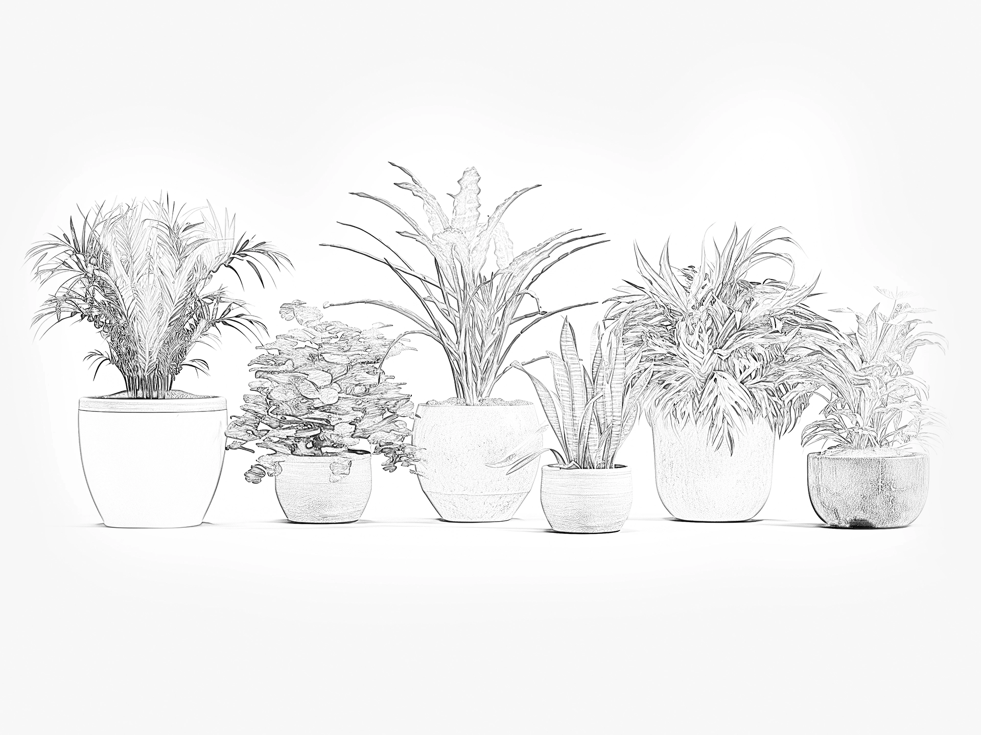 Mehrere grüne Zimmerpflanzen in Keramik- und Terrakottatöpfen auf Holzfläche als natürliche Wohnraumdekoration